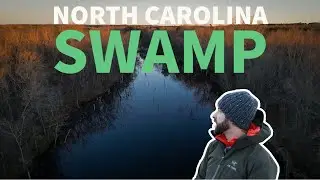Swamp Photography // A North Carolina Swamp in the Winter //  A Relaxing Morning