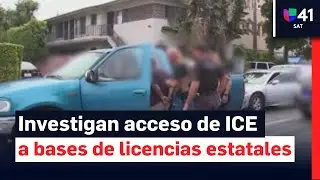 ICE obtiene acceso a informaci&oacute;n personal a trav&eacute;s de base de datos de licencias de conducir