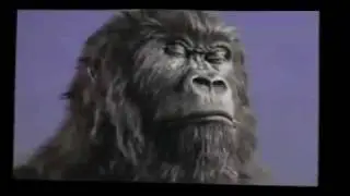 VITAL.mp4