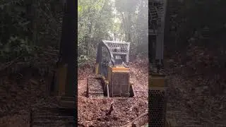 bulldozer clearing old road#komatsu #alatberat#operatorindonesia#timurberkarya