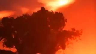 cowboy/joshua VHS  footage