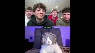 Comedy with the Lip Liner Twins 2 - Jackson and Brooks Harvey - Hilarious Omegle Puppets #shorts