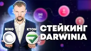 Как стейкать KTON и RING? Пошаговая инструкция для новичков | Darwinia network