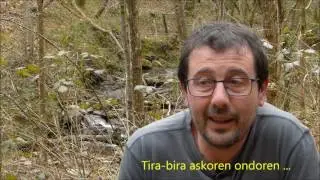 Vis&oacute;n europeo