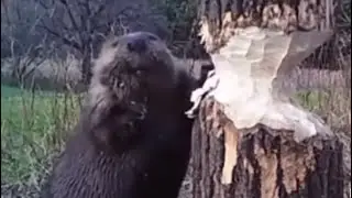 you