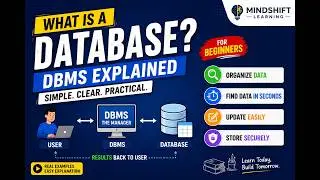 What Is a Database? DBMS Explained for Beginners | Database Basics