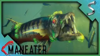 TAKING ON THE FIRST BOSS! THE APEX BARRACUDA! - Maneater [Gameplay E2]