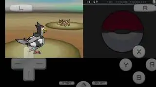 Pok&eacute;mon Black Walkthrough,Relic Castle,Desert Resort,Routh 4 to Nimbasa City
