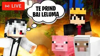 🔴 Live | Minecraft ca GOLANII pe MEGA SKYBLOCK cu Carnciorul GANNICUS96 si Andi Lecturatu! #RTXON