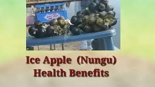 Ice Apple (Nungu)-  Health Benefits (Ep.21)