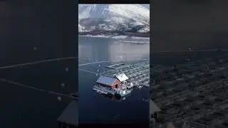 Arctic Winter RIB Ride