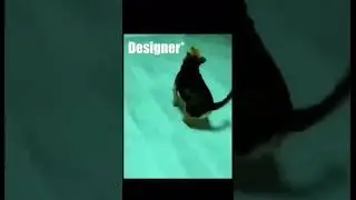 Memes Found On Internet Pt. 2 