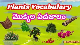 Plant Vocabulary for kids| English-Telugu Bilingual Learning