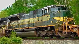 I Was Filming A CSX Train And Guess What? Plus MBTA Sister Units! Erie Heritage Unit! Dogs + DPU's