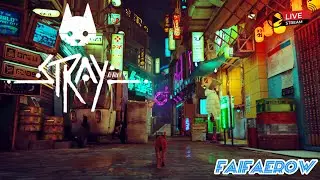 Kita Sudah Berada Di Kota Midtown - Stray Indonesia #4