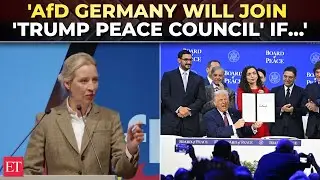 'Zelenskyy should pay for Nord Stream': Germany's Alice Weidel explodes over Russian pipeline blast