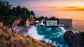 Sentierum - Back Home Blues