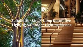 Rishang will Showcase Road LED Strip Light at HongKong Lighting Fair
