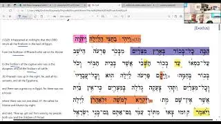 Online Resources for Torah Readers Enrichment Session