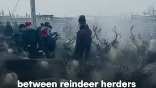 Sami, The Indigenous People Of Scandinavia