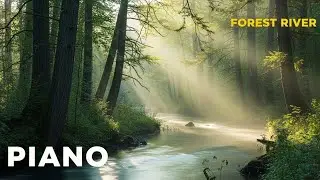 Nature Flowscape: Piano 4 Hours