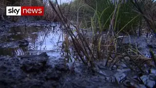 Climate crisis: UK's 