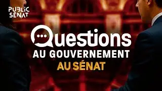#DirectS&eacute;nat🔴 Suivez en direct les questions d'actualit&eacute; au gouvernement du 26 novembre 2025