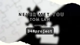 Never Met You - Tom Law | Cover by D4Nproject