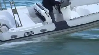 Beluga 6.20