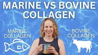Marine Collagen vs Bovine Collagen: What&rsquo;s the Difference?