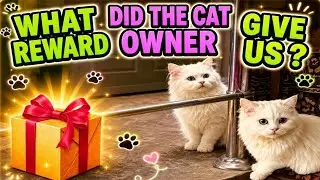 Наконец-то мы нашли дом хозяина кошки🏡| Какую награду нам дал хозяин? | &laquo;Бездомный котенок спасен 💔&raquo;