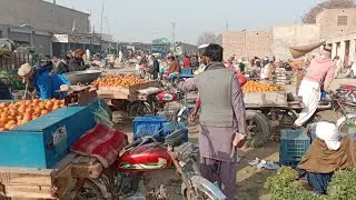 New Price Vegetable and Fruit Mandi in Punjab Pakistan 😳||fresh vegetables fresh fruit 🍊🍌🍆🌶🌰