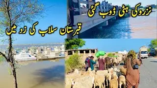 Chenab River Flood Update | Nazaro Bone & Cemetery Submerged | Head Panjnad Water Level Rising