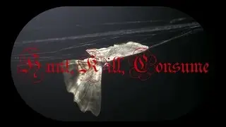 Invert The Idols - Hunt, Kill, Consume (Unofficial Fan Made Music Video)