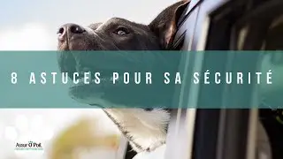 VOYAGER AVEC SON CHIEN EN VOITURE  | Assur O'Poil
