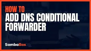 How to Add DNS Conditional Forwarder | SambaBox
