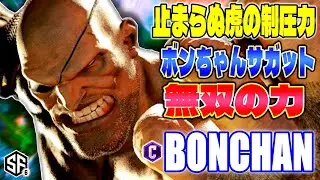 【スト6】止まらぬ虎の制圧力 ボンちゃんサガット無双の力 ボンちゃん (サガット) 【SF6】