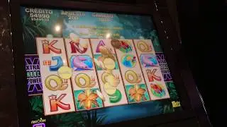 🎥🐆JAGUAR MIST SLOT/ BET 20$ &hearts;️ Lines Hit!! 🐆 💲10cts💲