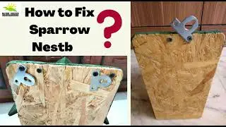How to fix Nature Forever Sparrow Nestbox..