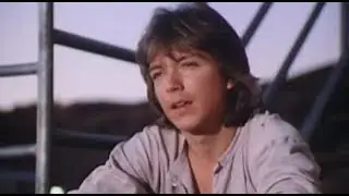 Police Story (NBC) : David Cassidy Man Undercover Pilot (1978) David Cassidy, Vince Edwards