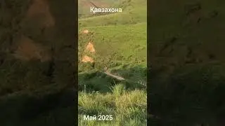 Диёри кӯдакӣ. Қавзахона, деҳае ки моҳи июни соли 2003 аз ин ҷаннатистон кӯчонида шуд.