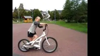 Pedalwelt Spa&szlig;fahrrad: Stepperbike