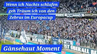 Wenn ich Nachts schlafen geh, Träum ich von den Zebras im Europacup. MSV Fangesang