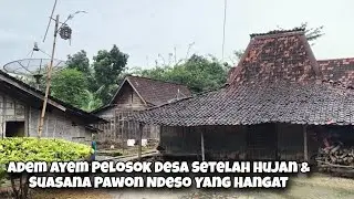 Kampung Jadul Dipinggir Sawah Blusukan Pawon Ndeso Yang Hangat Masak Secara Tradisional