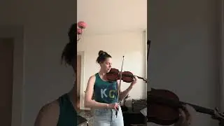 Excerpt from Brahms Symphony No 1, 1st mvmt performed by Joanna Metsker