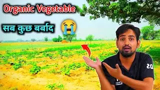 Mr Indian Hacker Organic Fruits And Vegetables Part-2 | सारी सब्जियां बर्बाद 😭