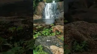 මාකෙලි ඇල්ල #ella #srilanka #waterfall #makeliella