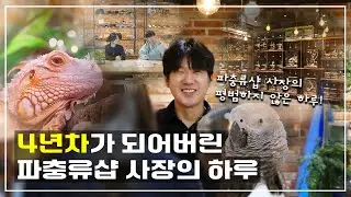 28세의 창업 후 32세가 되어버린 파충류샵 사장의 연말 Vlog