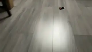Watch me drive my smallest RC car I have got