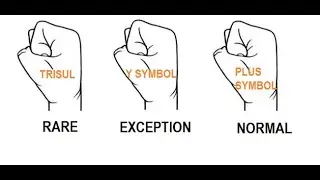 The Mystical || Index Finger Bend || in Palmistry Revealed!  Palmistry Consultant